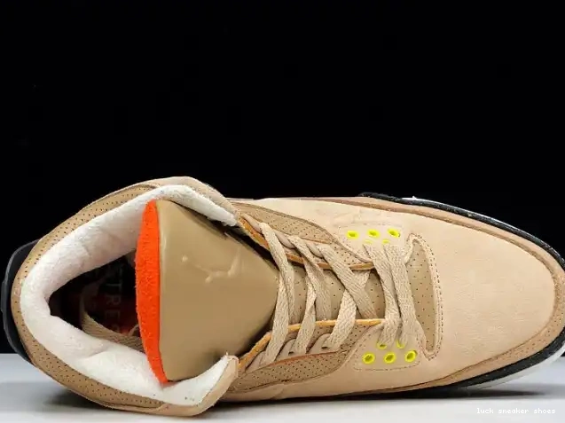 Reps LUCY Bio Air AV6683-200 JTH Beige 3 Jordan 0501